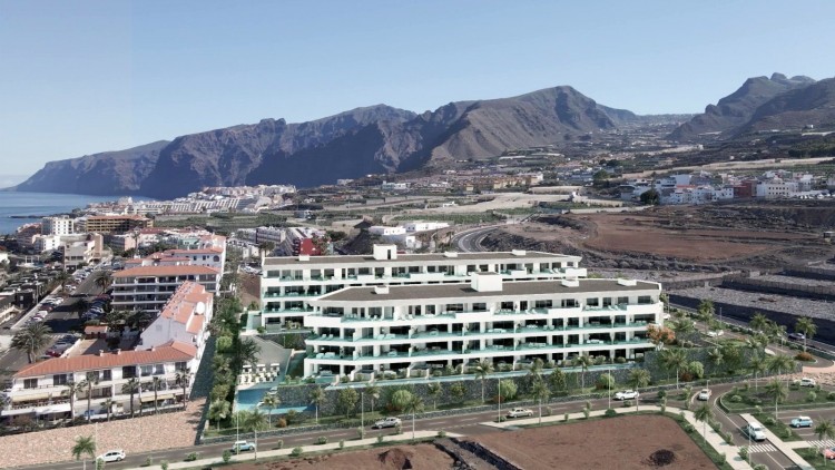 Land for Sale, Guía de Isora, Santa Cruz de Tenerife, Tenerife - PR-SOL0126VSS 2