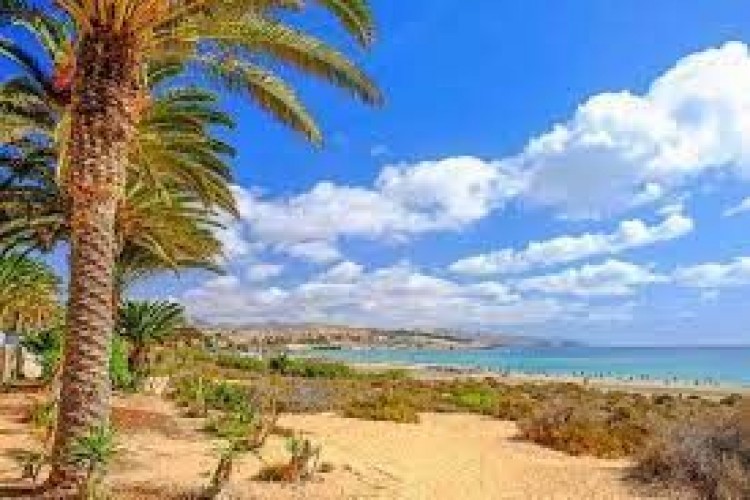 Land for Sale, Pájara, Las Palmas, Fuerteventura - DH-VALIPLOTPAJA-1022 13