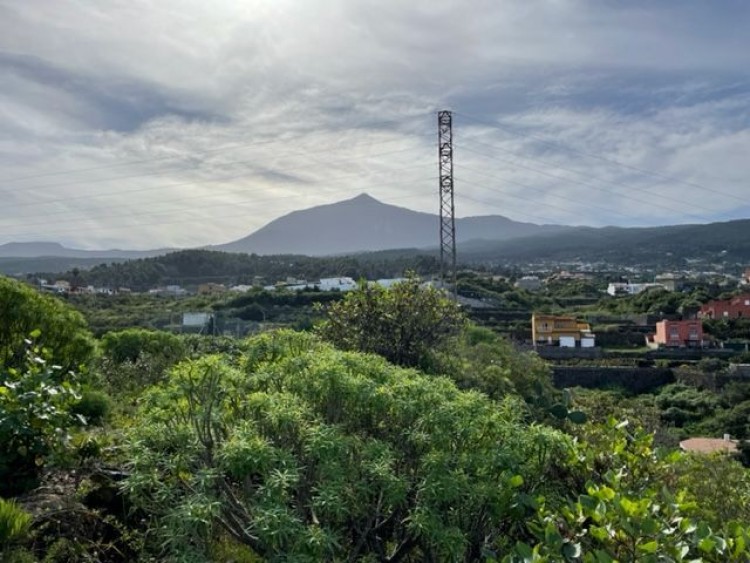 Icod de los Vinos, Santa Cruz de Tenerife, Tenerife - Canarian Properties