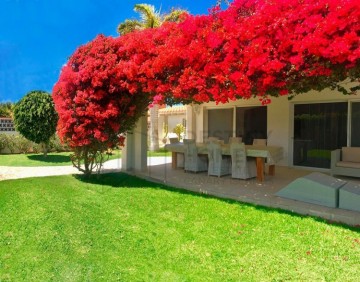 5 Bed  Villa/House for Sale, Corralejo, Las Palmas, Fuerteventura - DH-VPTLUXVILLA5-0123