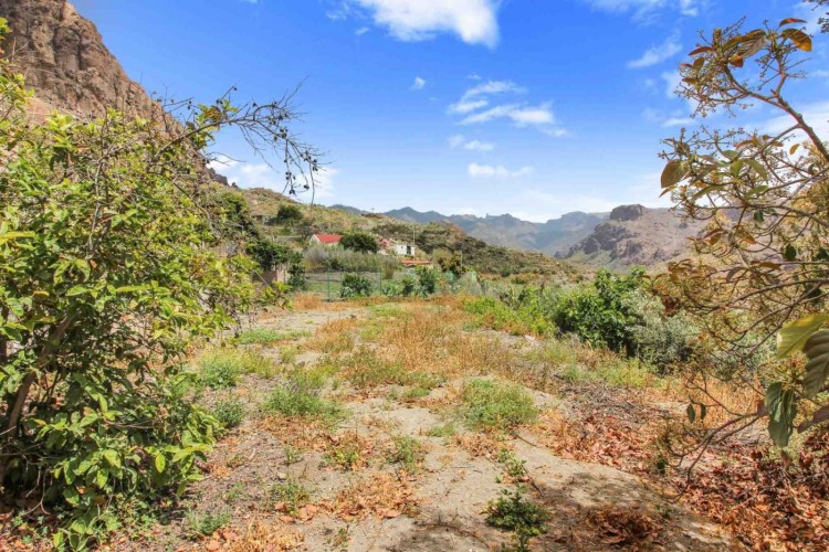 Land for Sale, Mogan, LAS PALMAS, Gran Canaria - CI-05225-CA-2934 4