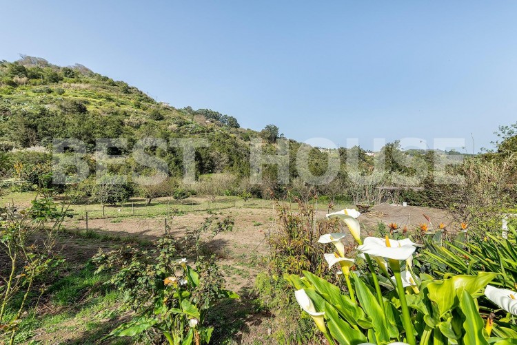 2 Bed  Country House/Finca for Sale, Valleseco, LAS PALMAS, Gran Canaria - BH-11235-AH-2912 10