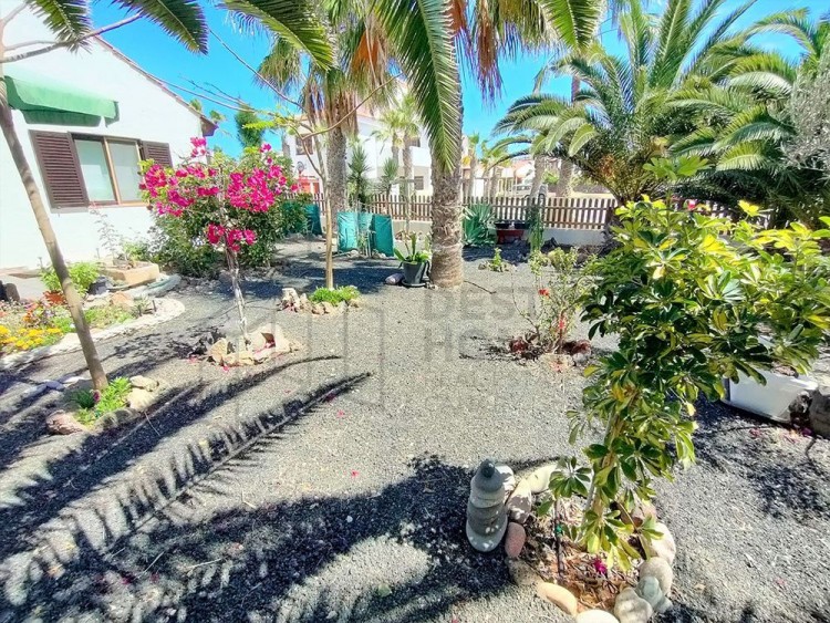 2 Bed  Villa/House for Sale, Parque Holandes, Las Palmas, Fuerteventura - DH-XVPTBUNPAHOL2-0523 5
