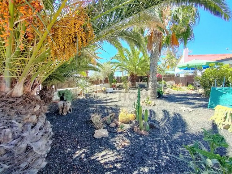 2 Bed  Villa/House for Sale, Parque Holandes, Las Palmas, Fuerteventura - DH-XVPTBUNPAHOL2-0523 6