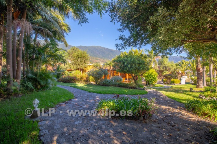 4 Bed  Villa/House for Sale, Miranda, Breña Alta, La Palma - LP-BA92 7