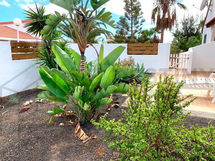 2 Bed  Villa/House for Sale, Parque Holandes, Las Palmas, Fuerteventura - DH-XVPTBPARHO2-1023 11