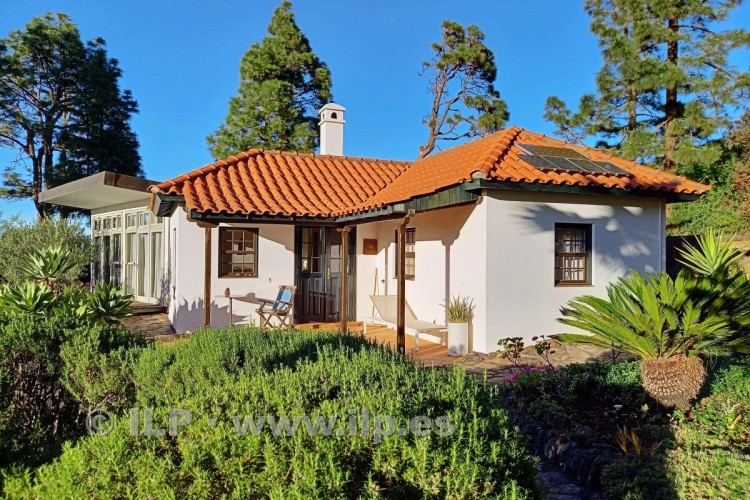 2 Bed  Villa/House for Sale, El Pinar, Puntagorda, La Palma - LP-P98 5