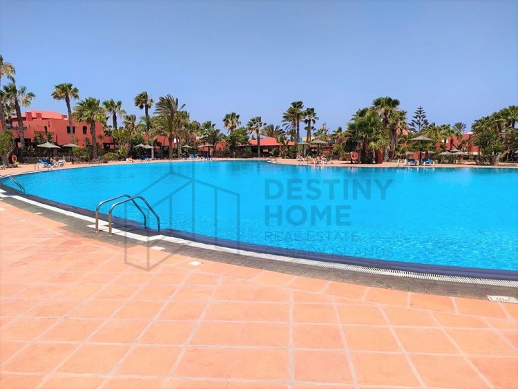1 Bed  Flat / Apartment for Sale, Corralejo, Las Palmas, Fuerteventura - DH-VPTTAMA1-1223 1