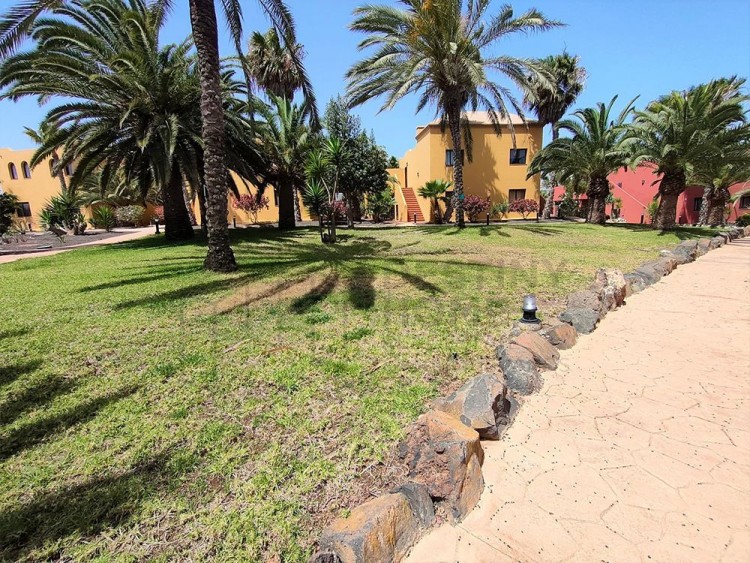 1 Bed  Flat / Apartment for Sale, Corralejo, Las Palmas, Fuerteventura - DH-VPTTAMA1-1223 4
