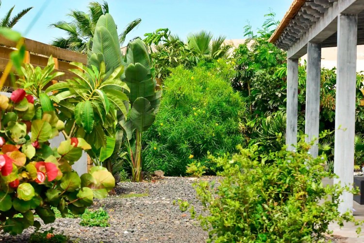 4 Bed  Villa/House for Sale, Lajares, Las Palmas, Fuerteventura - DH-VPTLAJLUXVILLA4-1223 4