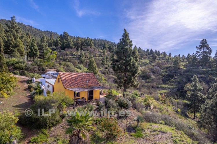 2 Bed  Villa/House for Sale, Arecida, Tijarafe, La Palma - LP-Ti250 6