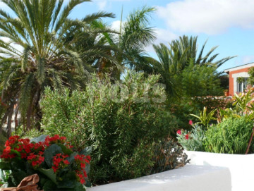 4 Bed  Villa/House for Sale, Buzanada, Tenerife - NP-03808
