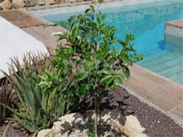 4 Bed  Villa/House for Sale, Buzanada, Tenerife - NP-03808