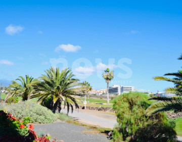 1 Bed  Flat / Apartment for Sale, Amarilla Golf, Tenerife - NP-03888