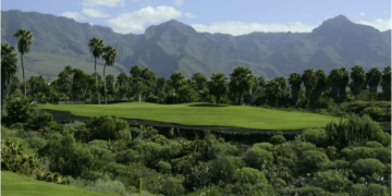 20 Bed  Property for Sale, Costa Adeje, Tenerife - PT-PW-407