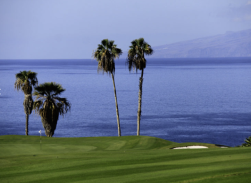 20 Bed  Land for Sale, Costa Adeje, Tenerife - PT-PW-401