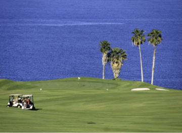 20 Bed  Land for Sale, Costa Adeje, Tenerife - PT-PW-401