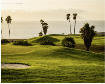 20 Bed  Land for Sale, Costa Adeje, Tenerife - PT-PW-401