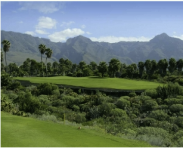 20 Bed  Land for Sale, Costa Adeje, Tenerife - PT-PW-401