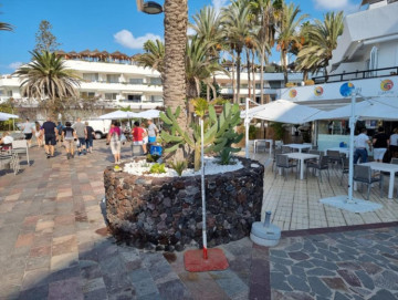 1 Bed  Commercial for Sale, Adeje, Tenerife - PT-PW-398
