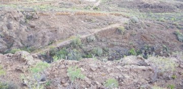 1 Bed  Land for Sale, arico, Tenerife - PT-PW-379