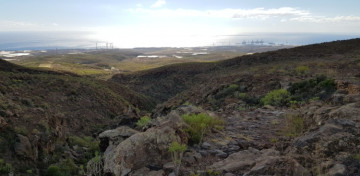 1 Bed  Land for Sale, arico, Tenerife - PT-PW-379