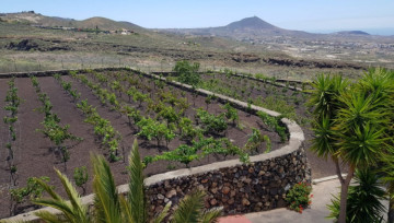 4 Bed  Villa/House for Sale, San Miguel de Abona, Tenerife - PT-PW-380