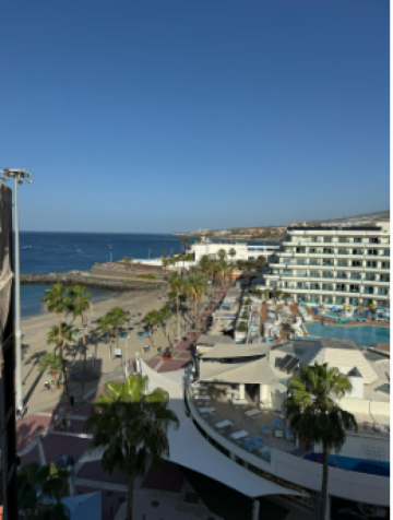 5 Bed  Commercial to Rent, Puerto Colón, Tenerife - PT-PW-459