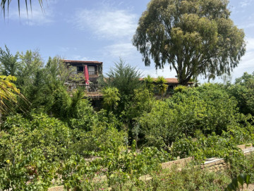 9 Bed  Villa/House for Sale, La Escalona, Vilaflor, Tenerife - MP-V0788-9
