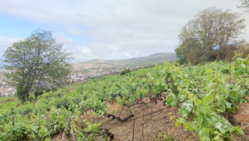 Land for Sale, Santa Ursula, Tenerife - IC-VTR11480