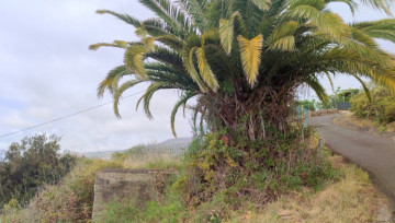  Land for Sale, Santa Ursula, Tenerife - IC-VTR11480