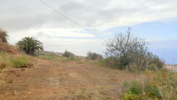  Land for Sale, Santa Ursula, Tenerife - IC-VTR11480