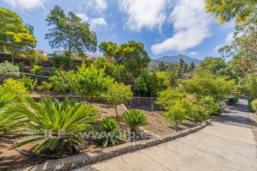 3 Bed  Villa/House for Sale, Tacande, El Paso, La Palma - LP-E802
