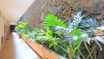  Flat / Apartment to Rent, Puerto de la Cruz, Tenerife - IC-AES11404