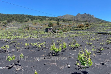 2 Bed  Villa/House for Sale, Jedey, El Paso, La Palma - LP-E815