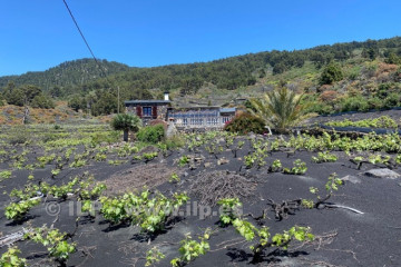 2 Bed  Villa/House for Sale, Jedey, El Paso, La Palma - LP-E815