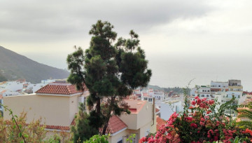 3 Bed  Villa/House for Sale, Icod de los Vinos, Tenerife - IC-VCH11716