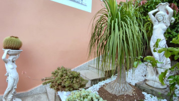 3 Bed  Villa/House for Sale, Icod de los Vinos, Tenerife - IC-VCH11716