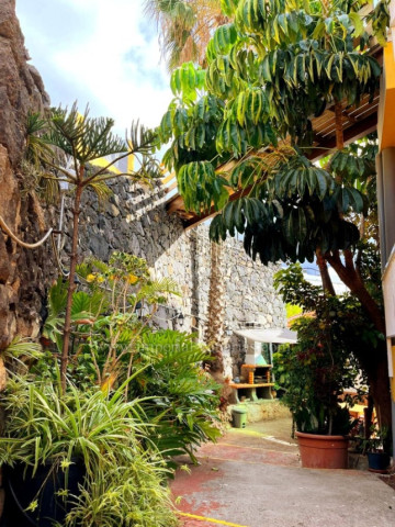 3 Bed  Flat / Apartment to Rent, Puerto de la Cruz, Tenerife - IC-AAP11713