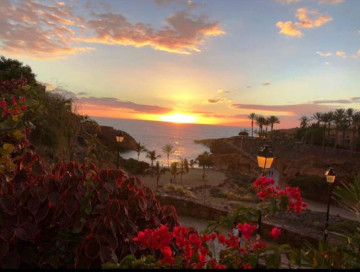 1 Bed  Flat / Apartment for Sale, Playa Paraiso, Adeje, Tenerife - MP-AP0960-1C
