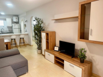 1 Bed  Flat / Apartment to Rent, Puerto de la Cruz, Tenerife - IC-AAP11780