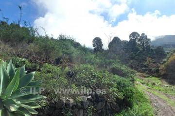 3 Bed  Villa/House for Sale, La Mata, Garafía, La Palma - LP-G68