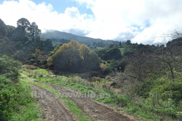 3 Bed  Villa/House for Sale, La Mata, Garafía, La Palma - LP-G68