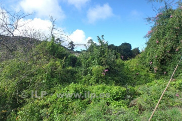 3 Bed  Villa/House for Sale, La Mata, Garafía, La Palma - LP-G68