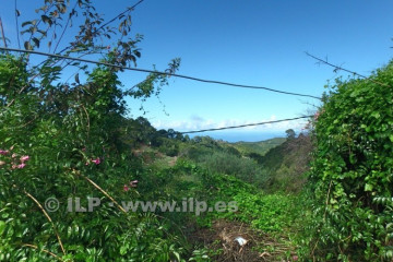 3 Bed  Villa/House for Sale, La Mata, Garafía, La Palma - LP-G68