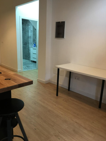 1 Bed  Flat / Apartment to Rent, Las Palmas de Gran Canaria, LAS PALMAS, Gran Canaria - BH-13229-SFL-2912