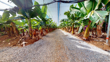 5 Bed  Commercial for Sale, Galdar, LAS PALMAS, Gran Canaria - BH-13883-JMZ-2912