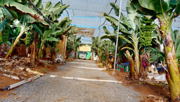 5 Bed  Commercial for Sale, Galdar, LAS PALMAS, Gran Canaria - BH-13883-JMZ-2912