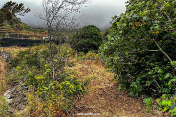  Land for Sale, El Palmar, Buenavista Del Norte, Tenerife - AZ-1876