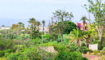 1 Bed  Flat / Apartment to Rent, Puerto de la Cruz, Tenerife - IC-AAP11830